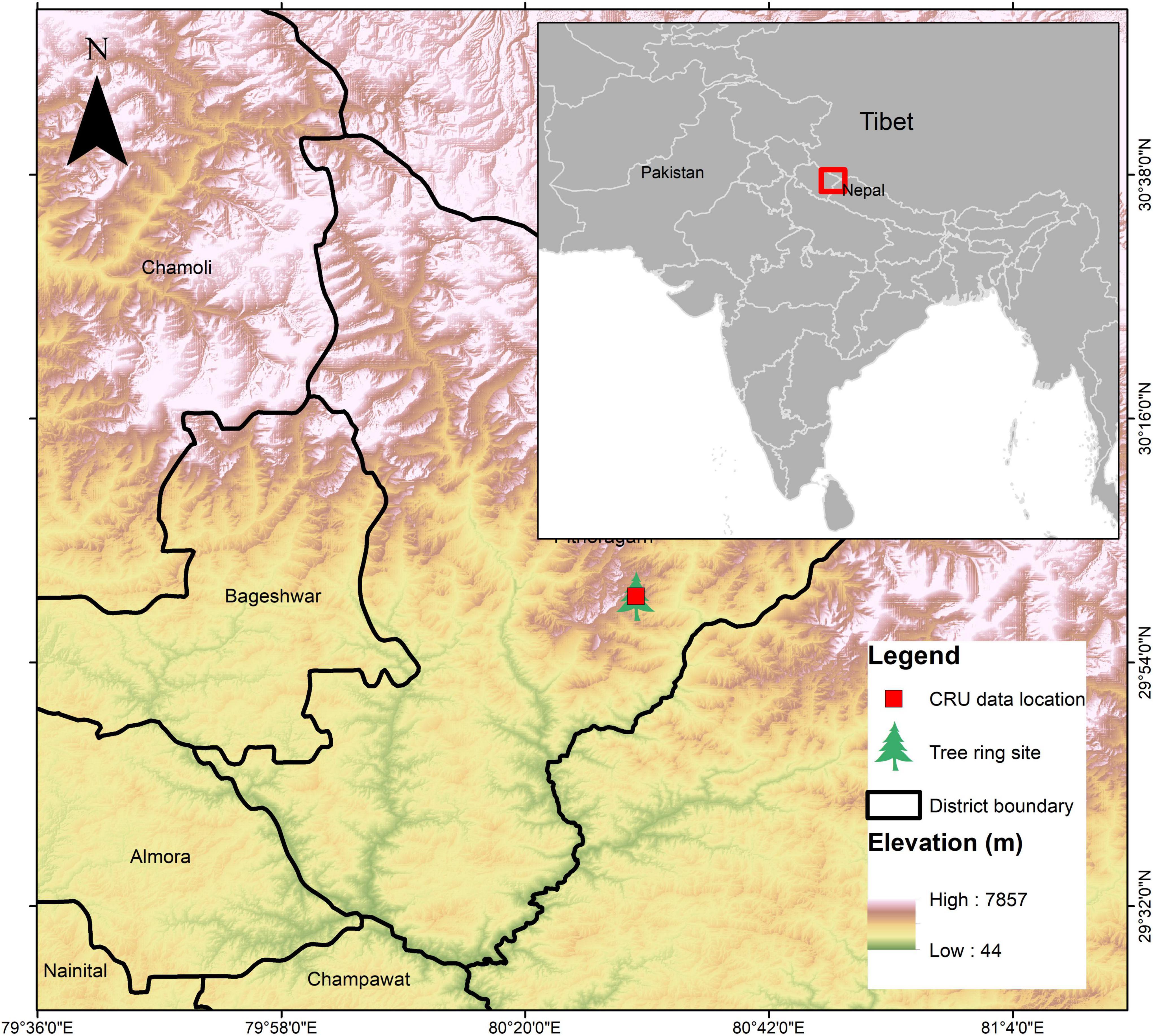 Tree rings of Rhododendron arboreum portray signal of monsoon precipitation in the Himalayan region